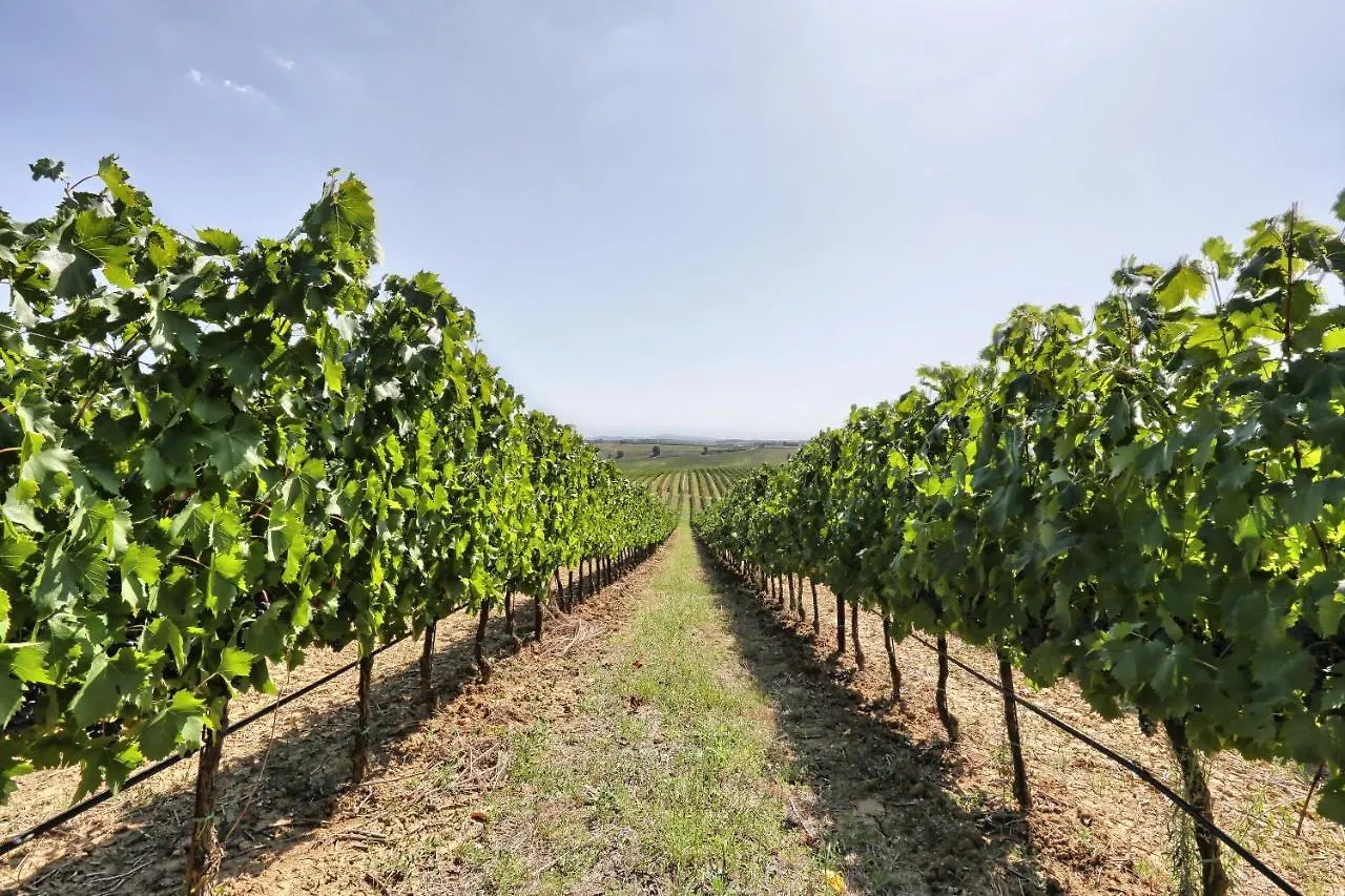 Agriturismo Terra Rossa Valiano